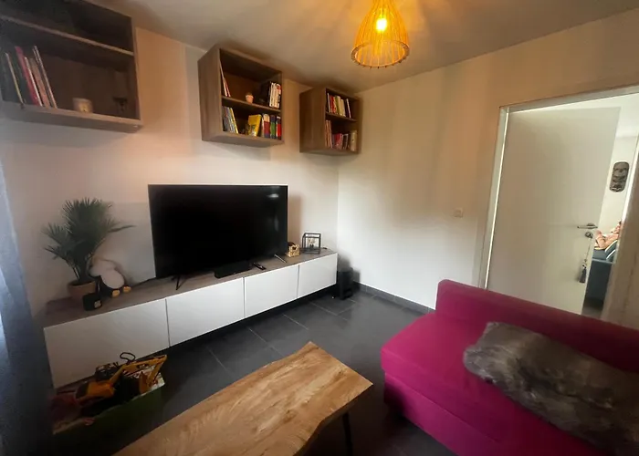 Modern House With Terrace Garden Close To